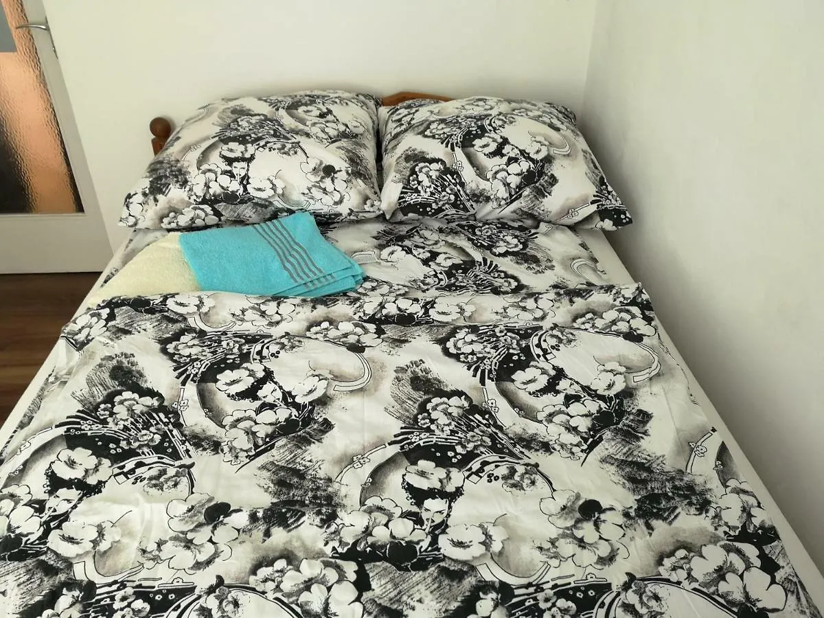 Private Room Zelinskij Munich Homestay